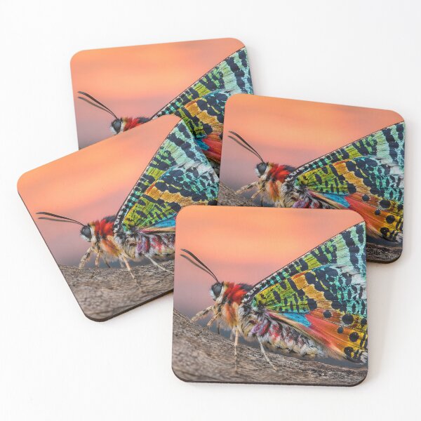 Item preview, Exotic, colorful butterfly in the warm evening light designed and sold by Fotografin1981.