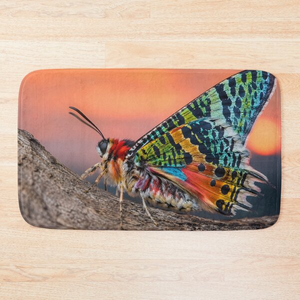 Item preview, Exotic, colorful butterfly in the warm evening light designed and sold by Fotografin1981.