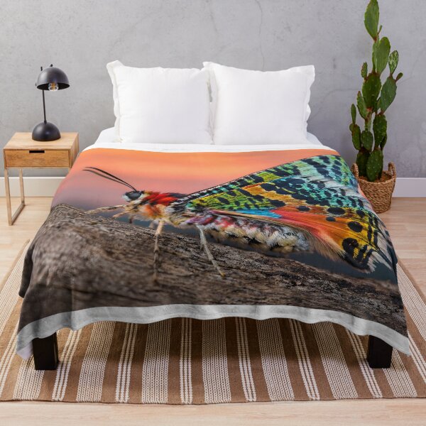 Item preview, Exotic, colorful butterfly in the warm evening light designed and sold by Fotografin1981.