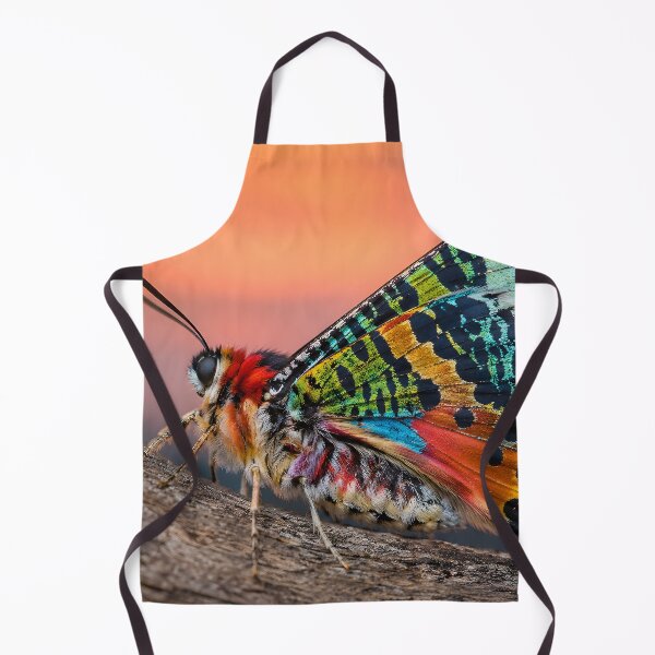 Item preview, Exotic, colorful butterfly in the warm evening light designed and sold by Fotografin1981.