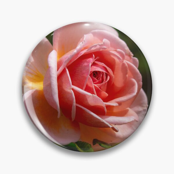Item preview, Coral Rose designed and sold by Alla Gill.