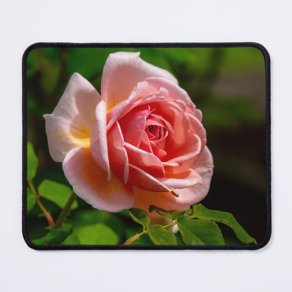 Item preview, Coral Rose designed and sold by Alla Gill.