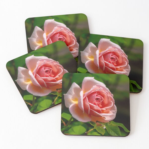 Item preview, Coral Rose designed and sold by Alla Gill.