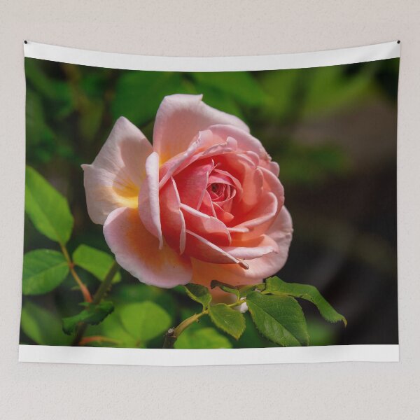 Item preview, Coral Rose designed and sold by Alla Gill.