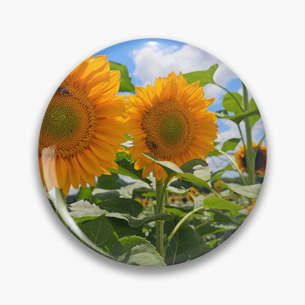 Item preview, Sunflowers field designed and sold by Alla Gill.