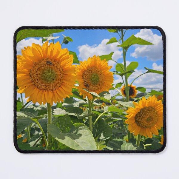 Item preview, Sunflowers field designed and sold by Alla Gill.