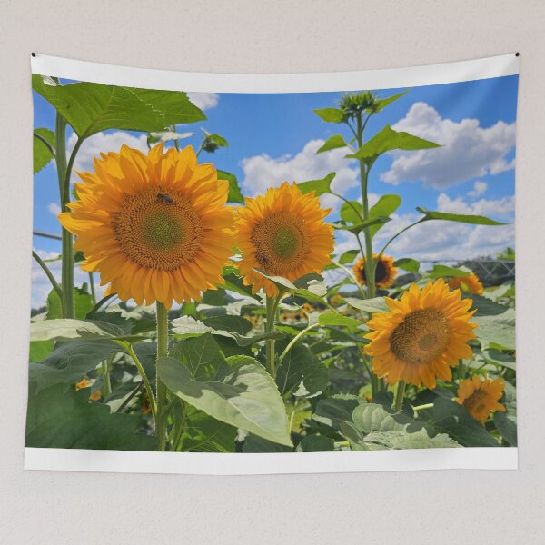 Item preview, Sunflowers field designed and sold by Alla Gill.