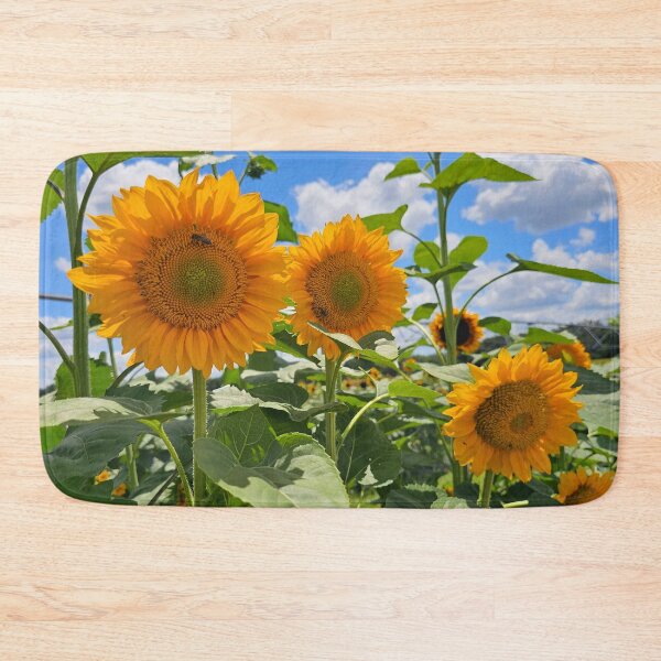 Item preview, Sunflowers field designed and sold by Alla Gill.