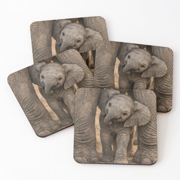 Item preview, Cute baby elephant peeks out from under its mother's legs designed and sold by Fotografin1981.