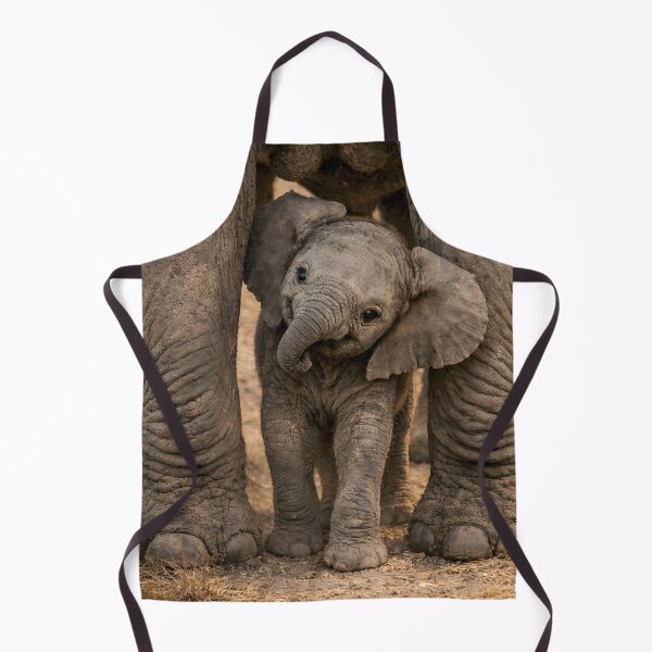 Item preview, Cute baby elephant peeks out from under its mother's legs designed and sold by Fotografin1981.