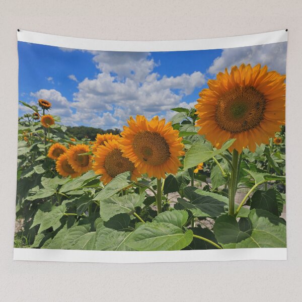 Item preview, Sunflowers designed and sold by Alla Gill.