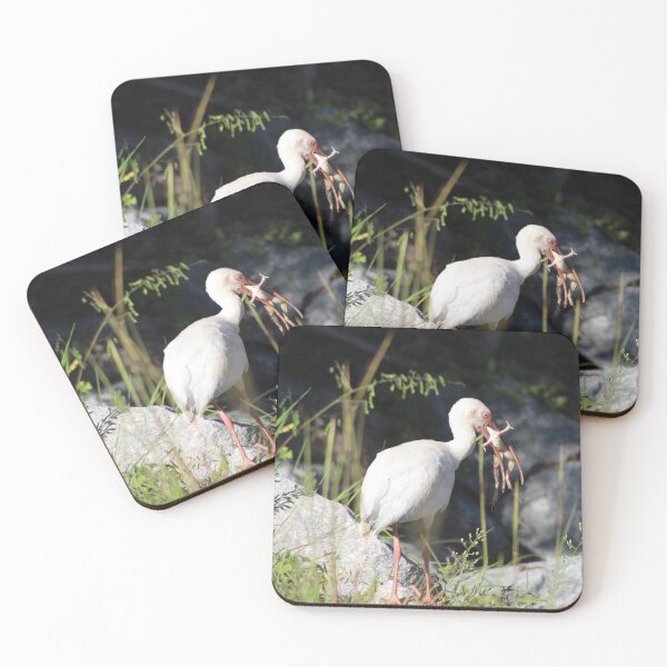 Item preview, The Catch designed and sold by Birdgirlcreates.