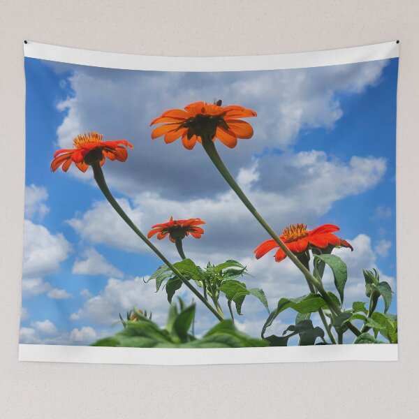 Item preview, Mexican sunflowers designed and sold by Alla Gill.