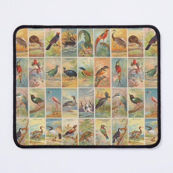 Item preview, Birds of the tropics cigarette cards pattern designed and sold by WallyMcCloud.