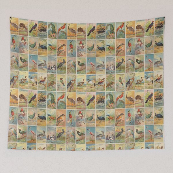 Item preview, Birds of the tropics cigarette cards pattern designed and sold by WallyMcCloud.