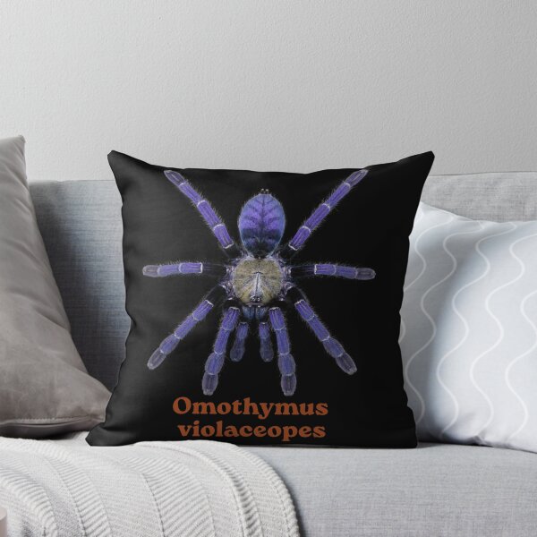 Item preview, Omothymus violaceopes SP-022 designed and sold by Exotic-Atlas.