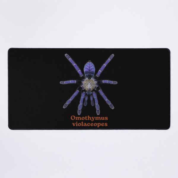 Item preview, Omothymus violaceopes SP-022 designed and sold by Exotic-Atlas.