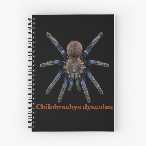 Item preview, Chilobrachys dyscolus SP-023 designed and sold by Exotic-Atlas.