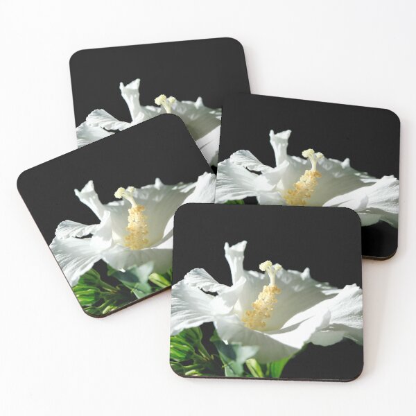 Item preview, White mallow on black background designed and sold by olena2552.