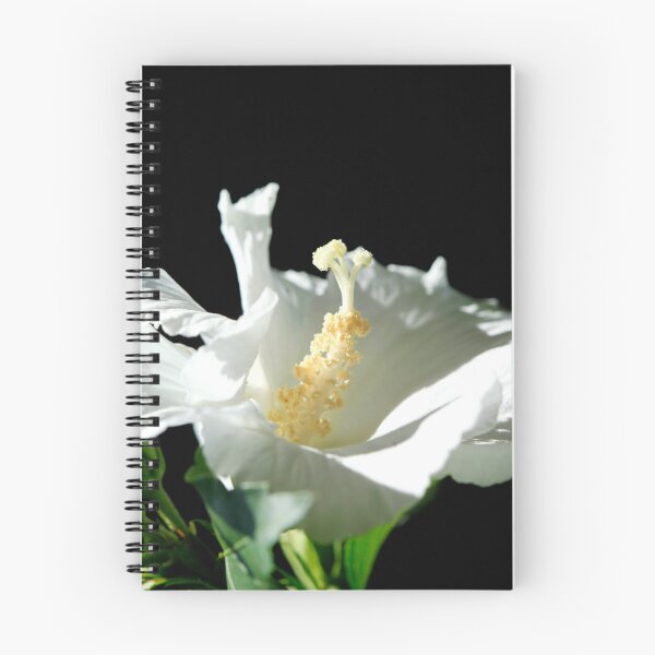 Item preview, White mallow on black background designed and sold by olena2552.