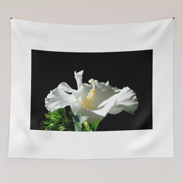 Item preview, White mallow on black background designed and sold by olena2552.