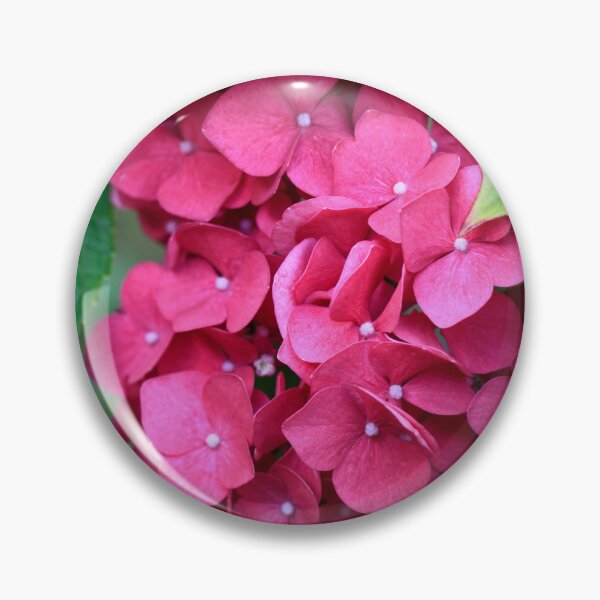 Item preview, Pink hydrangea in summer garden designed and sold by olena2552.
