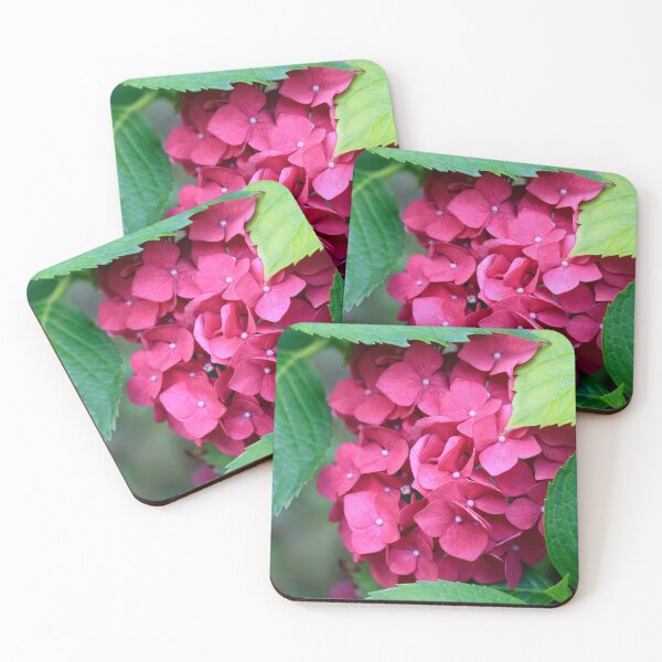 Item preview, Pink hydrangea in summer garden designed and sold by olena2552.