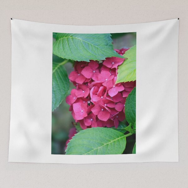 Item preview, Pink hydrangea in summer garden designed and sold by olena2552.