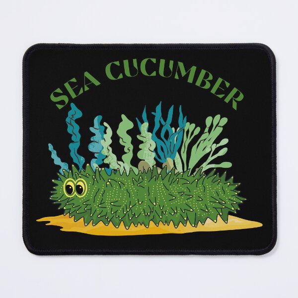 Item preview, Cute Sea Cucumber (Cucumaria frondosa) designed and sold by ewicraft.