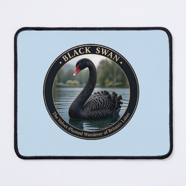 Item preview, BACK SWAN – The Velvet Plumed wanderer of British Lakes designed and sold by The Digital Compass.