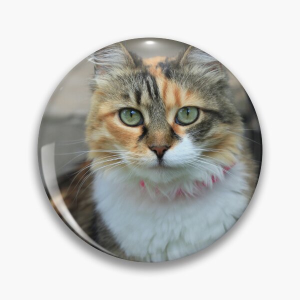 Item preview, Portrait of cute domestic cat designed and sold by olena2552.