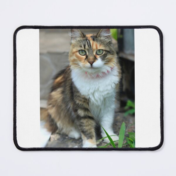 Item preview, Portrait of cute domestic cat designed and sold by olena2552.