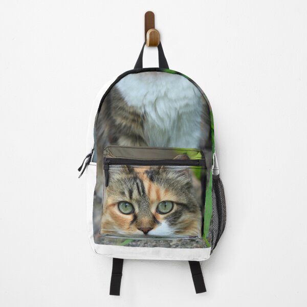 Item preview, Portrait of cute domestic cat designed and sold by olena2552.