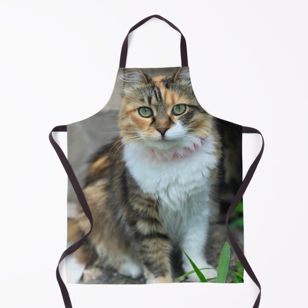 Item preview, Portrait of cute domestic cat designed and sold by olena2552.