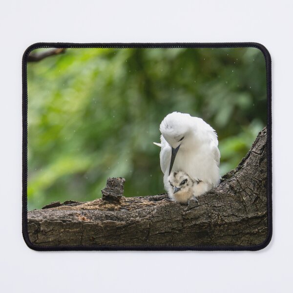 Item preview, Motherly Love Manu o kū cuddle designed and sold by Keola Makaiau.