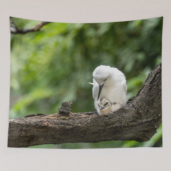 Item preview, Motherly Love Manu o kū cuddle designed and sold by Keola Makaiau.