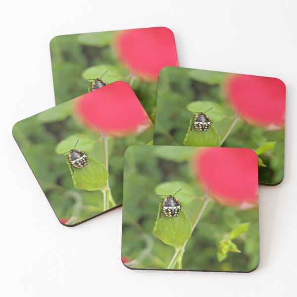 Item preview, Shield Bug Nymph on Green Leaf, Macro Garden Photography designed and sold by PrettyAround.