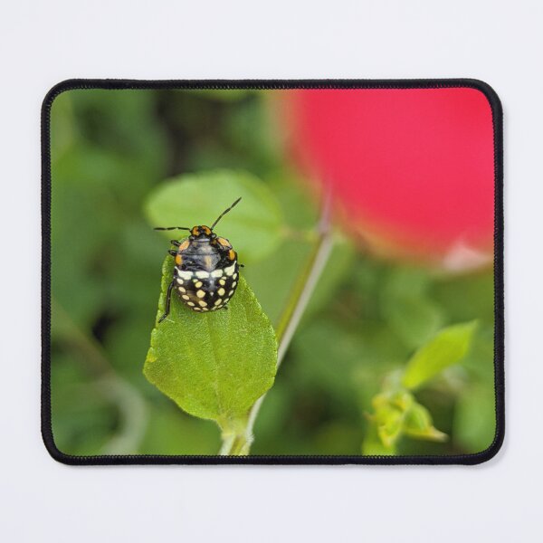 Item preview, Shield Bug Nymph on Green Leaf, Macro Garden Photography designed and sold by PrettyAround.