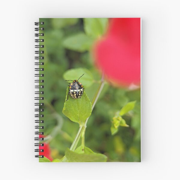 Item preview, Shield Bug Nymph on Green Leaf, Macro Garden Photography designed and sold by PrettyAround.