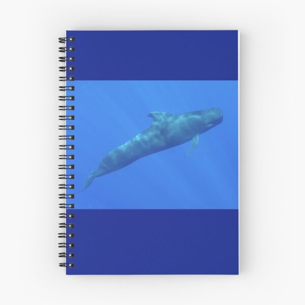 Item preview, Pilot Whale designed and sold by Whale & Dolphin Wisdom Retreats.