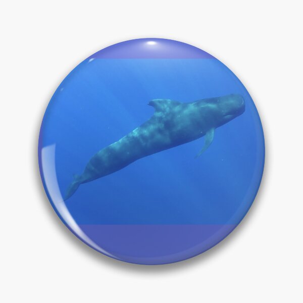 Item preview, Pilot Whale designed and sold by Whale & Dolphin Wisdom Retreats.