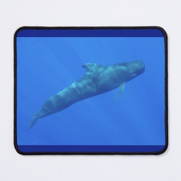 Item preview, Pilot Whale designed and sold by Whale & Dolphin Wisdom Retreats.