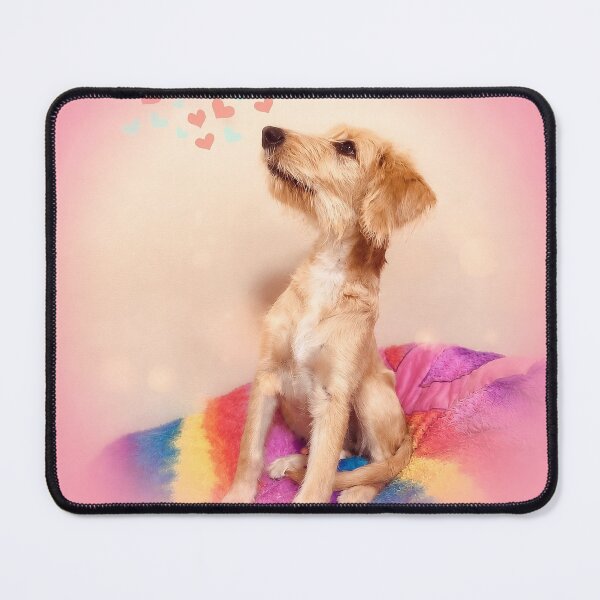 Item preview, Groovy Rainbow Scruffy Terrier Pink Art designed and sold by RescueHeart10.