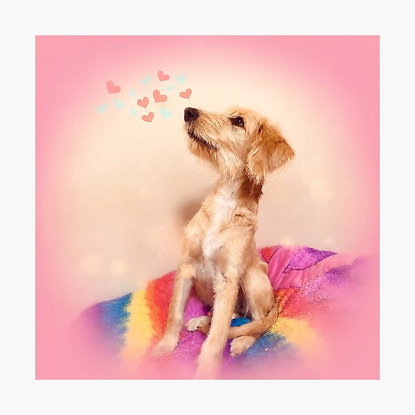 Item preview, Groovy Rainbow Scruffy Terrier Pink Art designed and sold by RescueHeart10.