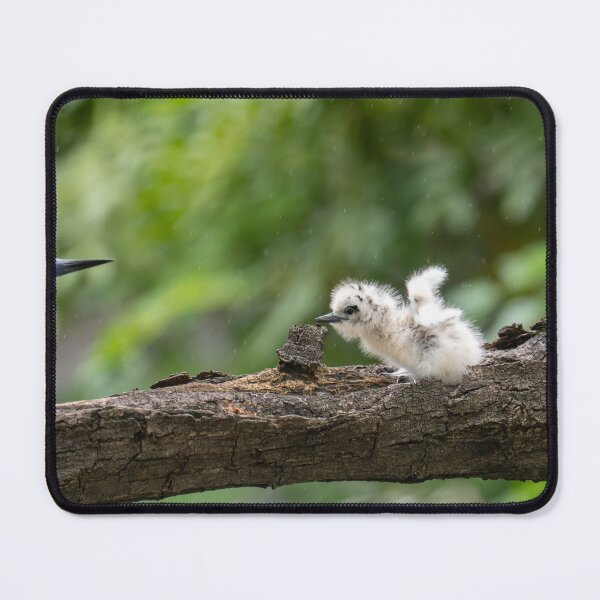 Item preview, Motherly Love Lets fly designed and sold by Keola Makaiau.