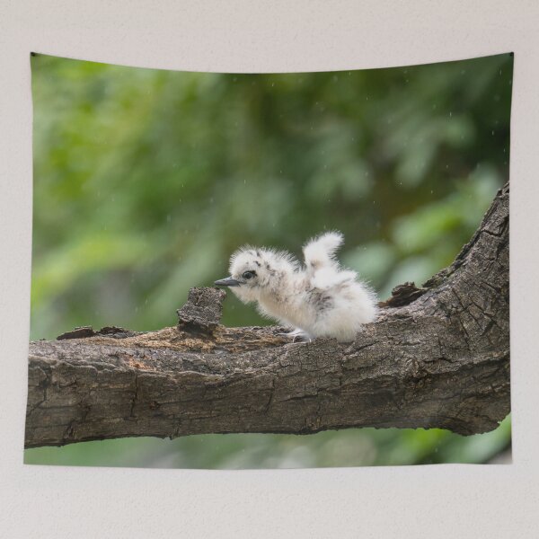 Item preview, Motherly Love Lets fly designed and sold by Keola Makaiau.