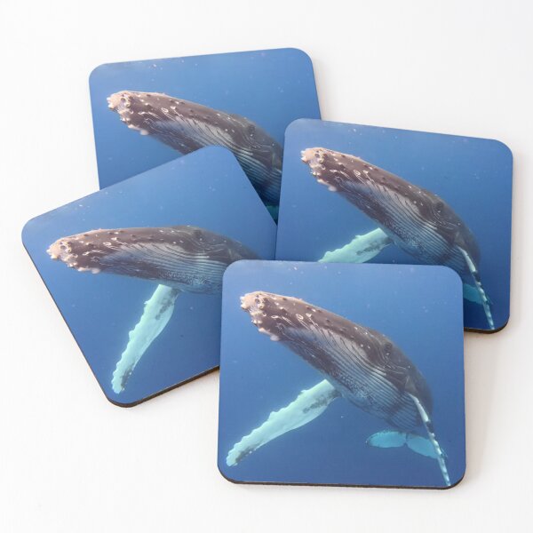 Item preview, Friendly Juvenile Humpback Whale designed and sold by Whale & Dolphin Wisdom Retreats.