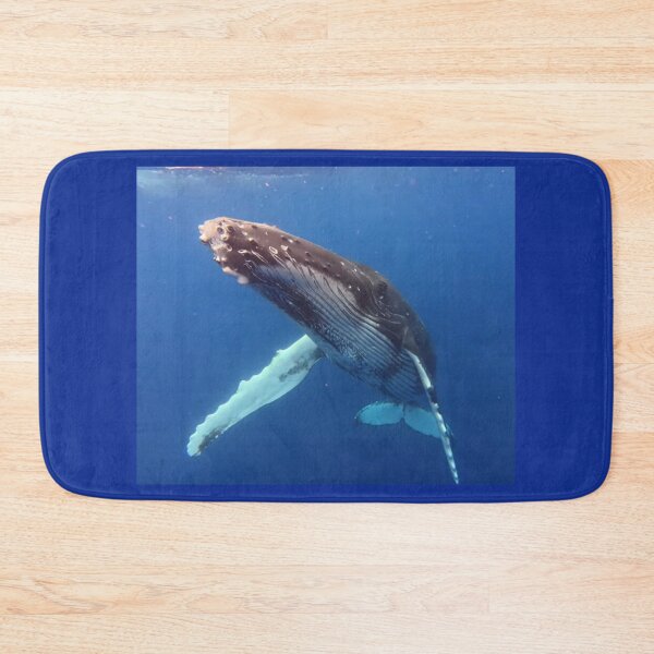 Item preview, Friendly Juvenile Humpback Whale designed and sold by Whale & Dolphin Wisdom Retreats.