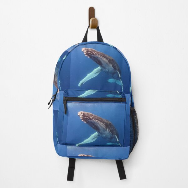 Item preview, Friendly Juvenile Humpback Whale designed and sold by Whale & Dolphin Wisdom Retreats.