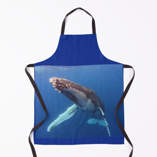 Item preview, Friendly Juvenile Humpback Whale designed and sold by Whale & Dolphin Wisdom Retreats.